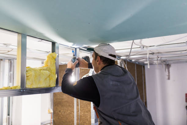 Best Geographic-Specific Insulation Services in Underwood Petersville, AL