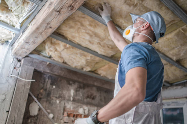 Best Spray Foam Insulation in Underwood Petersville, AL